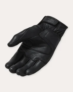 Gloves Hawk