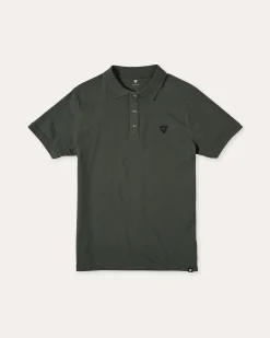 Polo Ashland